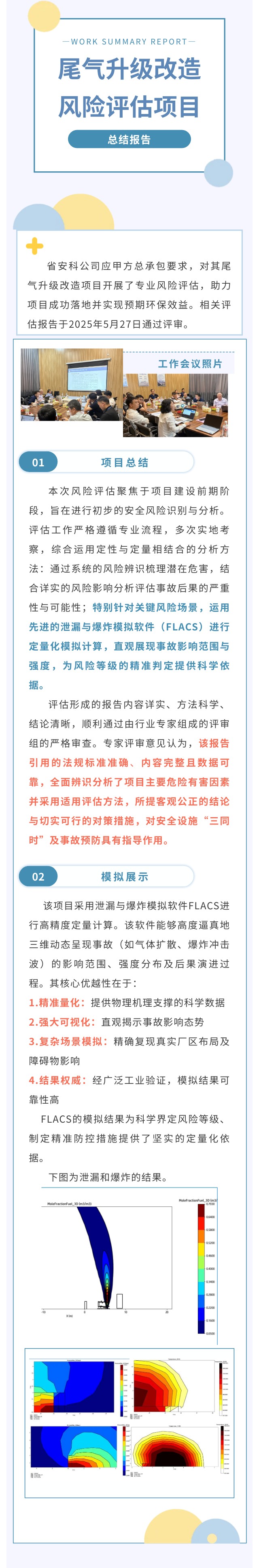 尾气升级改造  风险评估项目